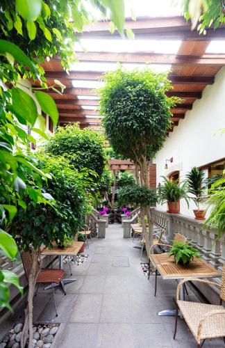 a patio with benches and trees and plants at Meztli: Casa Boutique & Spa in Mexico City