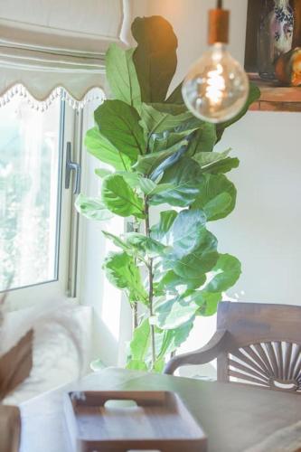 Fotografie z fotogalerie ubytování Mulberry tree villa v destinaci Agios Nikolaos