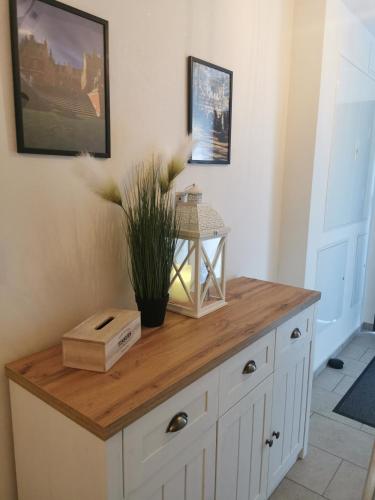 a wooden counter with a plant on top of it at Under the Hill 2 in Bad Muskau