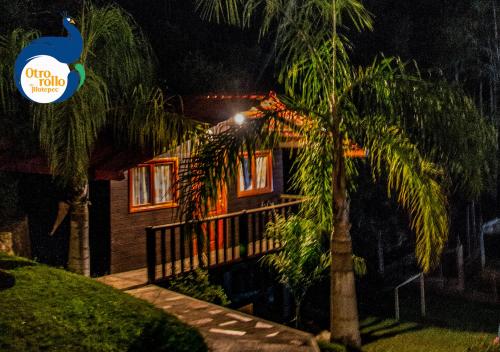 a house at night with a palm tree in front of it at Otro Rollo en Jilotepec by Rotamundos in Zacapoaxtla