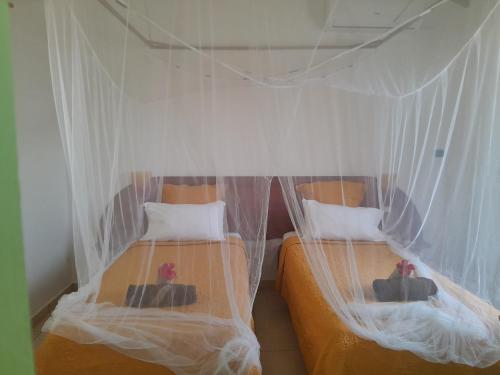 two beds in a room with mosquito nets at Au Village de Menard in Saint-Louis
