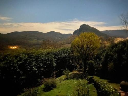 a tree on a hill with mountains in the background at Lodge Villa Maria in Teolo