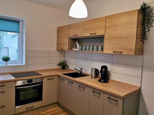 a kitchen with wooden cabinets and a counter top at Life Apartman Orfű in Orfű