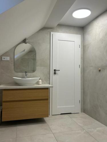 a bathroom with a sink and a mirror at Velobaltica apartmenty in Wisełka