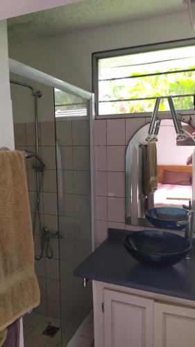 uma casa de banho com um lavatório e um chuveiro em Maison de vacances avec piscine et accès plage de sable blanc em Punaauia