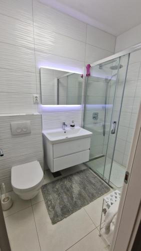 奈維斯的住宿－Apartman Bela，浴室配有卫生间、盥洗盆和淋浴。
