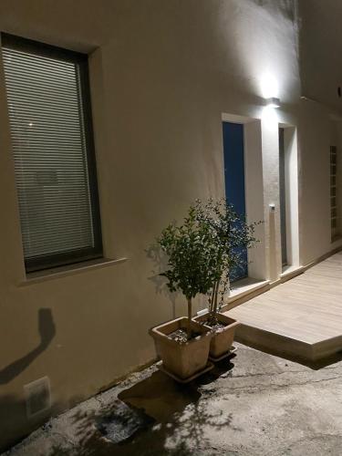 a room with a plant in a pot next to a window at Acquamarina Casa Vacanze in Marina San Vito