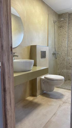 a bathroom with a sink and a toilet and a shower at Vila Milo in Himare
