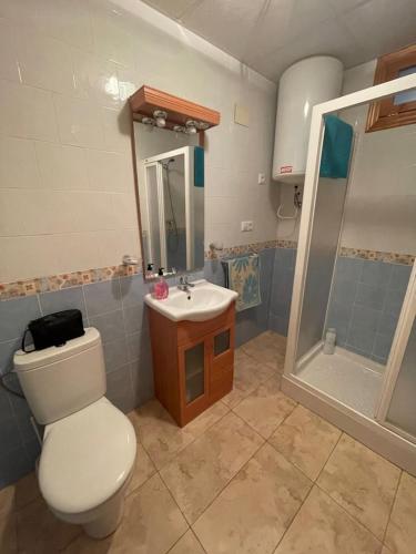 y baño con aseo, lavabo y ducha. en Casa Josefa, en Pozo Alcón
