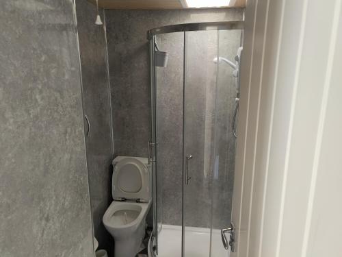 a bathroom with a toilet and a glass shower at Glampavan in Haven Street