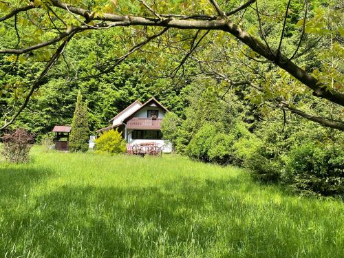 a house in the middle of a field of grass at Cottage by the river Valea Draganului in Poeni