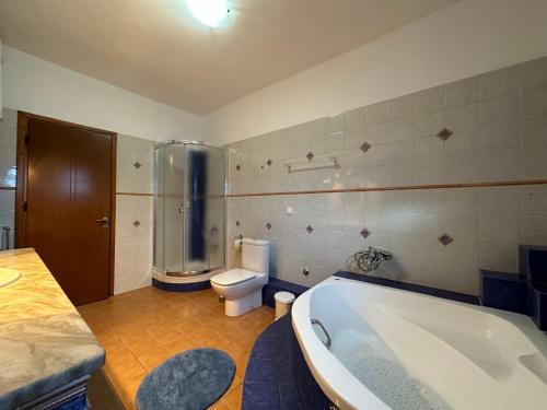 a bathroom with a tub and a toilet at Almyriki Apartment in Ierissos