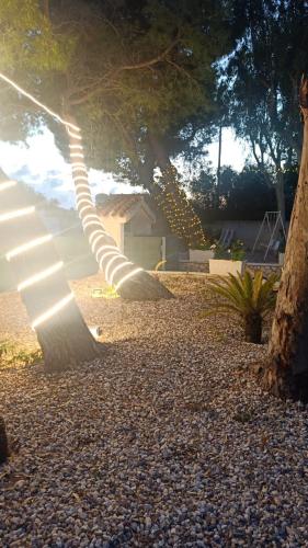 a tree laying on the ground next to a house at i girasoli srls in Bari