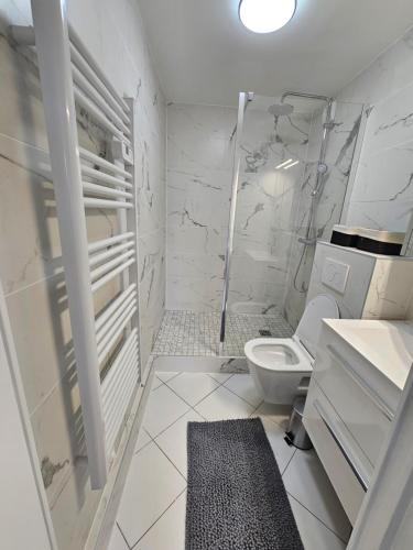 圖克的住宿－Le Rez de Jardin du Vert Coteau，白色的浴室设有卫生间和水槽。