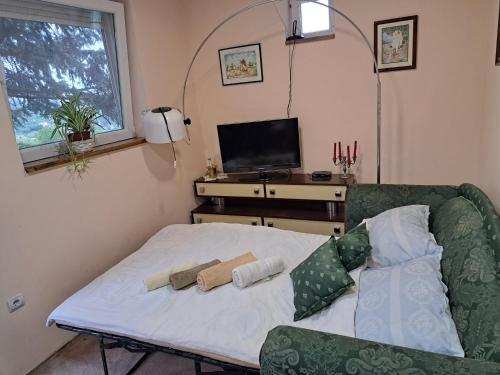 Fotografie z fotogalerie ubytování Exit vila v destinaci Sremska Kamenica