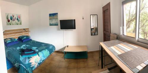 a bedroom with a bed and a television in it at Les Chênes-lièges d'Ambeille in Collioure