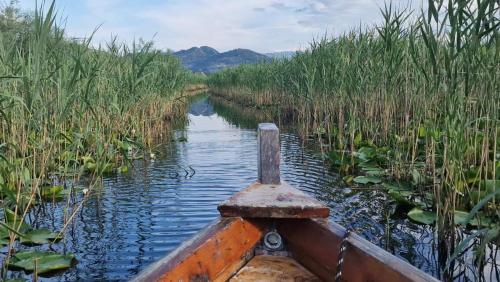a boat in the water in a field of reeds at JOCKER in Virpazar