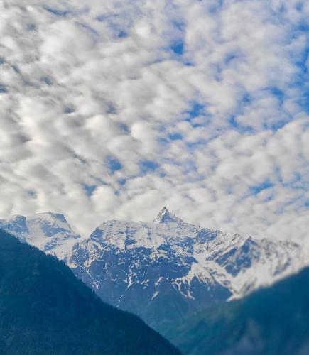 Fotografie z fotogalerie ubytování Rudra homestays v destinaci Kalpa
