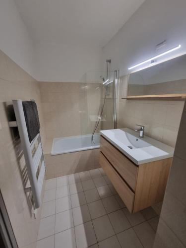 a bathroom with a sink and a shower and a tub at Embrun Cosy in Embrun