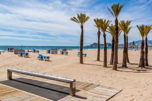 a bench on a beach with palm trees and the ocean at PARRALUE Beach front home in Benidorm