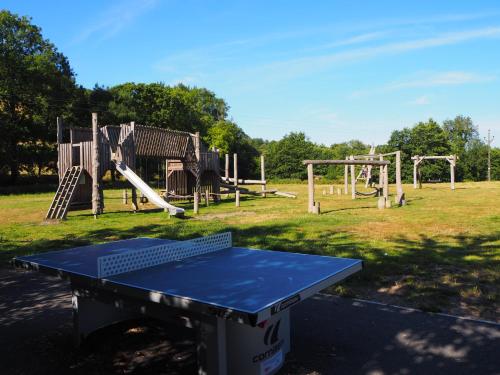 un parque infantil con una mesa azul en un campo en North Devon Holiday Cottage Dog Friendly with Local Pub en Swimbridge
