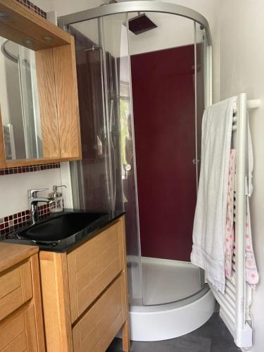ein Bad mit einer Dusche, einem Waschbecken und einer Badewanne in der Unterkunft Chambre double avec salle de bains privée in Quintin