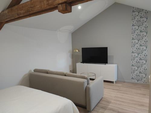 ein Schlafzimmer mit einem Sofa und einem Flachbild-TV in der Unterkunft Place Barbe in Dijon