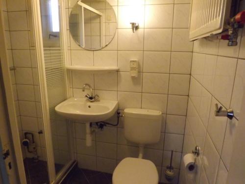 a small bathroom with a toilet and a sink at Vosseven 27 Heksenkring in Stramproy