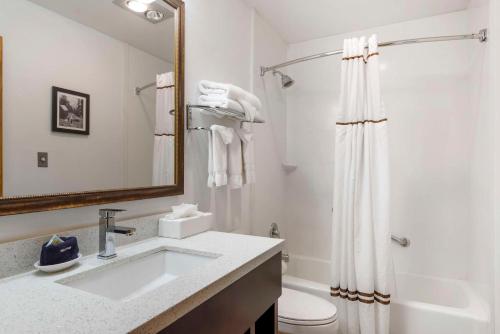 a bathroom with a sink and a toilet and a mirror at Best Western Plus Rio Grande Inn in Durango