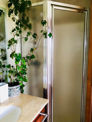 a bathroom with a shower with a plant on the wall at Casa Familiar con Vista al campo y al lago in Puerto Varas