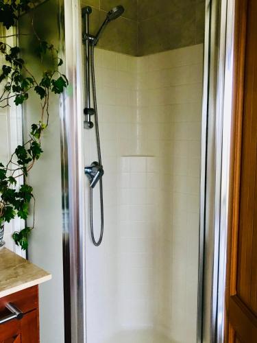 a shower with a shower head in a bathroom at Casa Familiar con Vista al campo y al lago in Puerto Varas