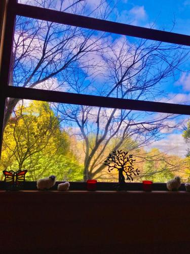 a window with a view of a group of trees at Casa Familiar con Vista al campo y al lago in Puerto Varas