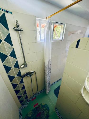 a bathroom with a shower with a toilet and a sink at CASA MOSAICO in Puerto López