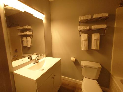 a bathroom with a toilet and a sink and a mirror at Traveler's Inn in Kenora