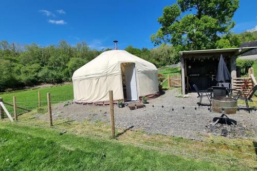 a large white tent with chickens in a field at Bronfelen Yurt in Cynghordy