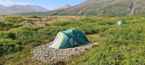 une tente verte et blanche dans un champ avec des montagnes dans l'établissement Stafafell Nature Park Camping, à Stafafell