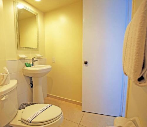 a bathroom with a white toilet and a sink at Aranzazu Eco in Guadalajara