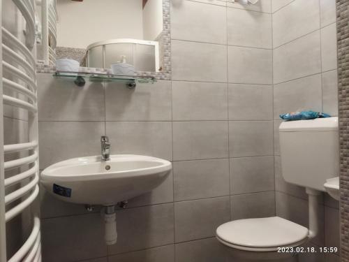 Kupatilo u objektu Holiday home in Kisnana - Ostungarn 44896