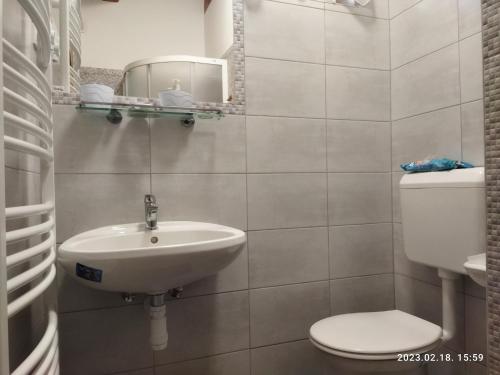 a bathroom with a sink and a toilet and a mirror at Holiday home in Kisnana - Ostungarn 44896 in Kisnána