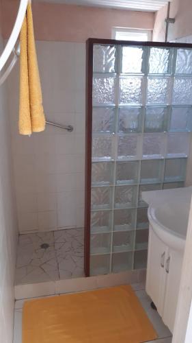 a bathroom with a shower with clear glass shelves at Bungalow Les Iguanes - CocoCyrna in Sainte-Anne