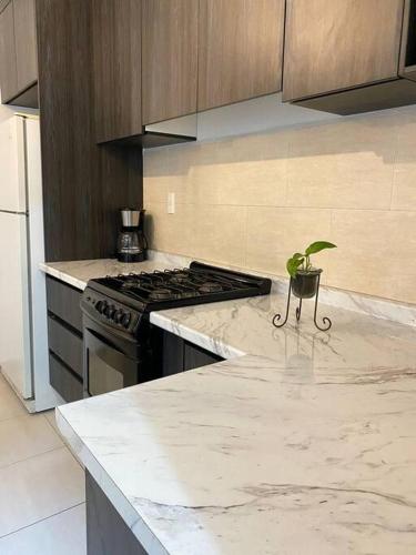 a kitchen with a stove and a potted plant on the counter at Casa Pirules- Parque Metropolitano in León