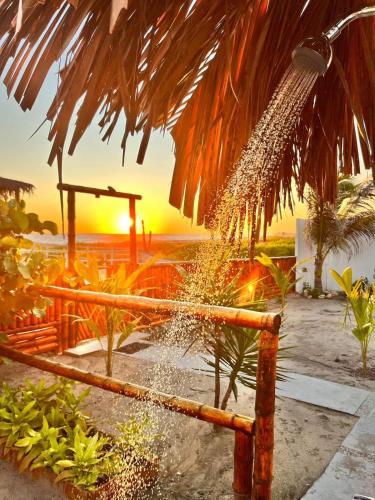 a water hose hooked up to a palm tree at Un Dia Boutique Resort in Playas