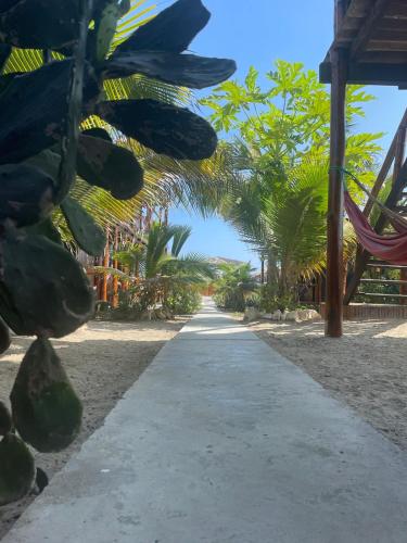 a road with a bunch of coconuts hanging from trees at Un Dia Boutique Resort in Playas