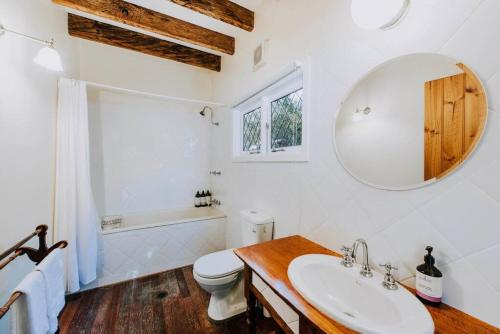a bathroom with a sink and a toilet and a mirror at Apple Tree Cottage - An Idyllic Country Reset in Eurunderee