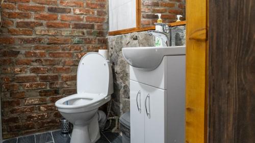 a bathroom with a toilet and a sink and a brick wall at Bukska Sadyba in Buki