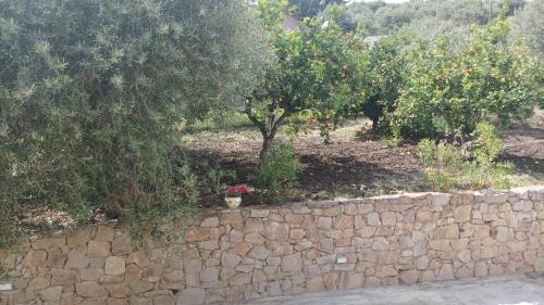 Κήπος έξω από το MARE NATURA