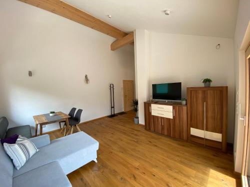 a living room with a blue couch and a tv at Appartmens am Attersee Dachsteinblick in Nussdorf am Attersee