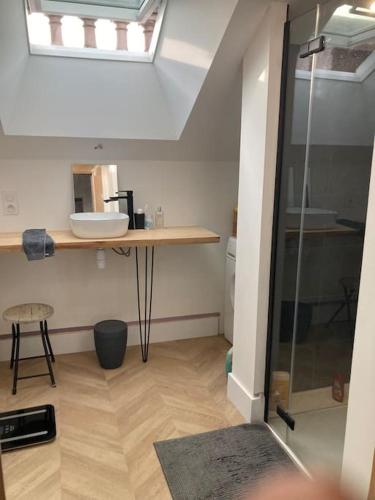 La salle de bains est pourvue d'un lavabo et d'un comptoir. dans l'établissement Atypique Chevreul, à Angers