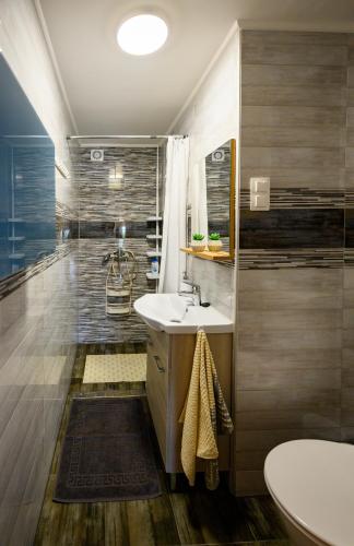 a bathroom with a sink and a shower at Nándi Jakuzzis Vendégház in Gyomaendrőd