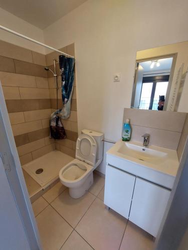 a bathroom with a toilet and a sink at Résidence de la gare, chambre meublée in Longjumeau